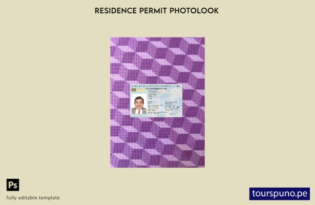 listo para imprimir plantilla FRONTAL de foto de permiso de residencia en Ucrani